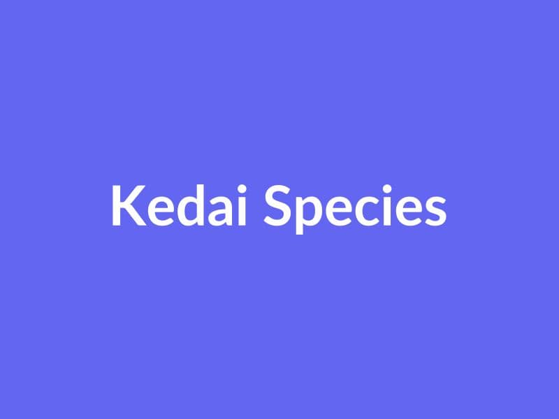 Kedai Species (Scout E-Commerce)